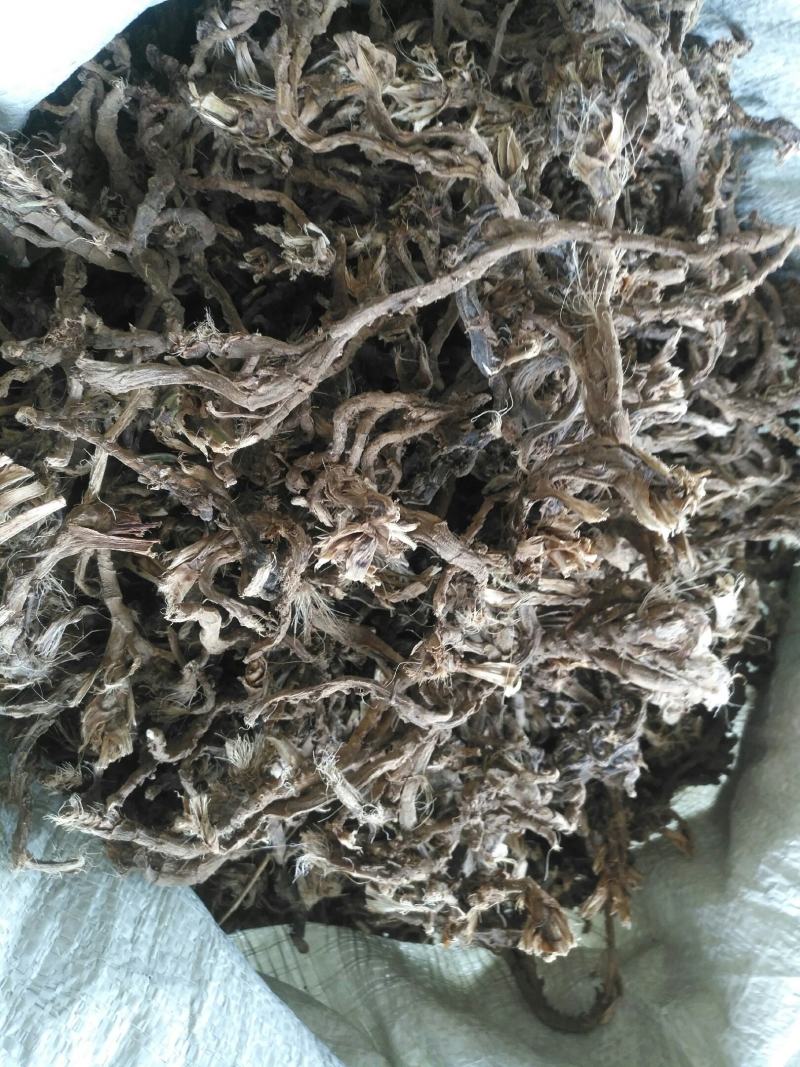 石菖蒲，野生个子不太大，适合药厂货