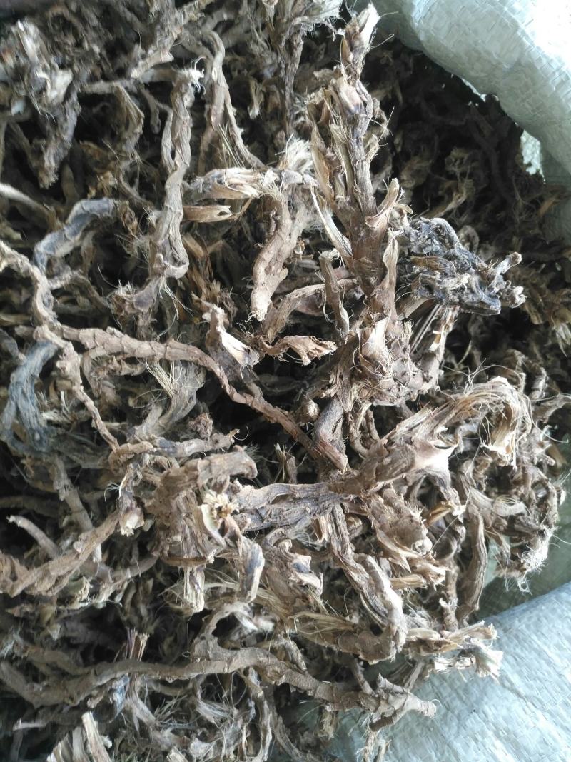 石菖蒲，野生个子不太大，适合药厂货