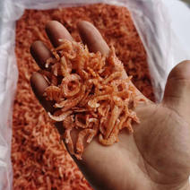 小虾米虾仁海米鳞虾虾皮一件10斤装，麟虾虾米