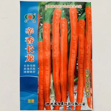 辛香长龙线椒种子早中熟长条线椒皮薄质脆辣香味好