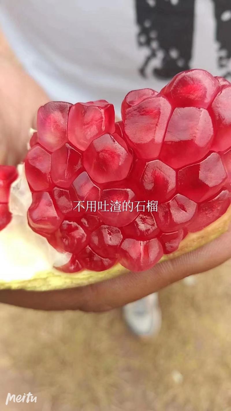 会理突尼斯软籽石榴电商**