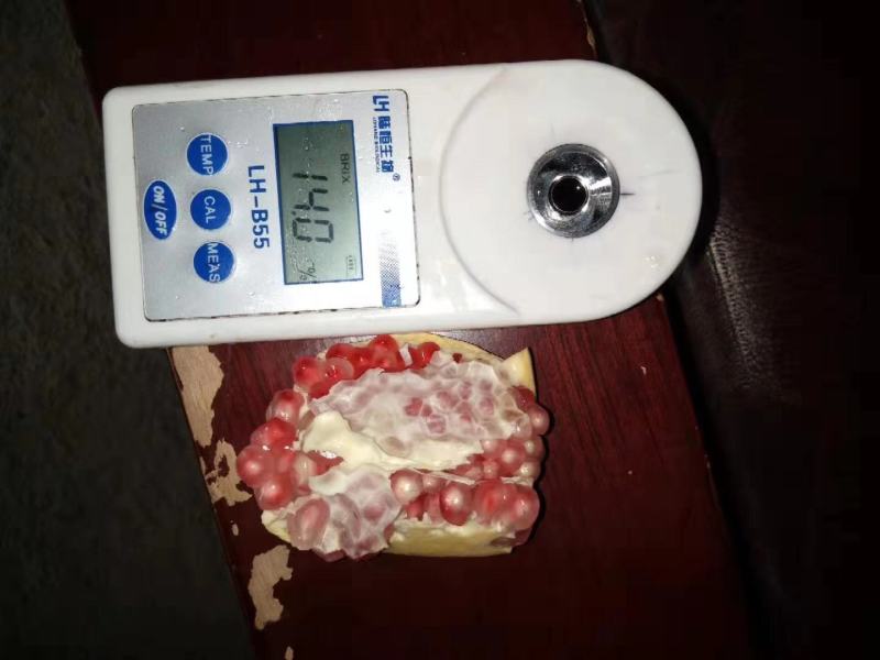 会理突尼斯软籽石榴电商**