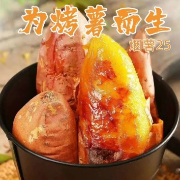 山东烟薯25蜜汁红薯低价供货支持一件代发支持落地配