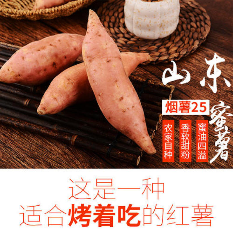 山东烟薯25蜜汁红薯低价供货支持一件代发支持落地配