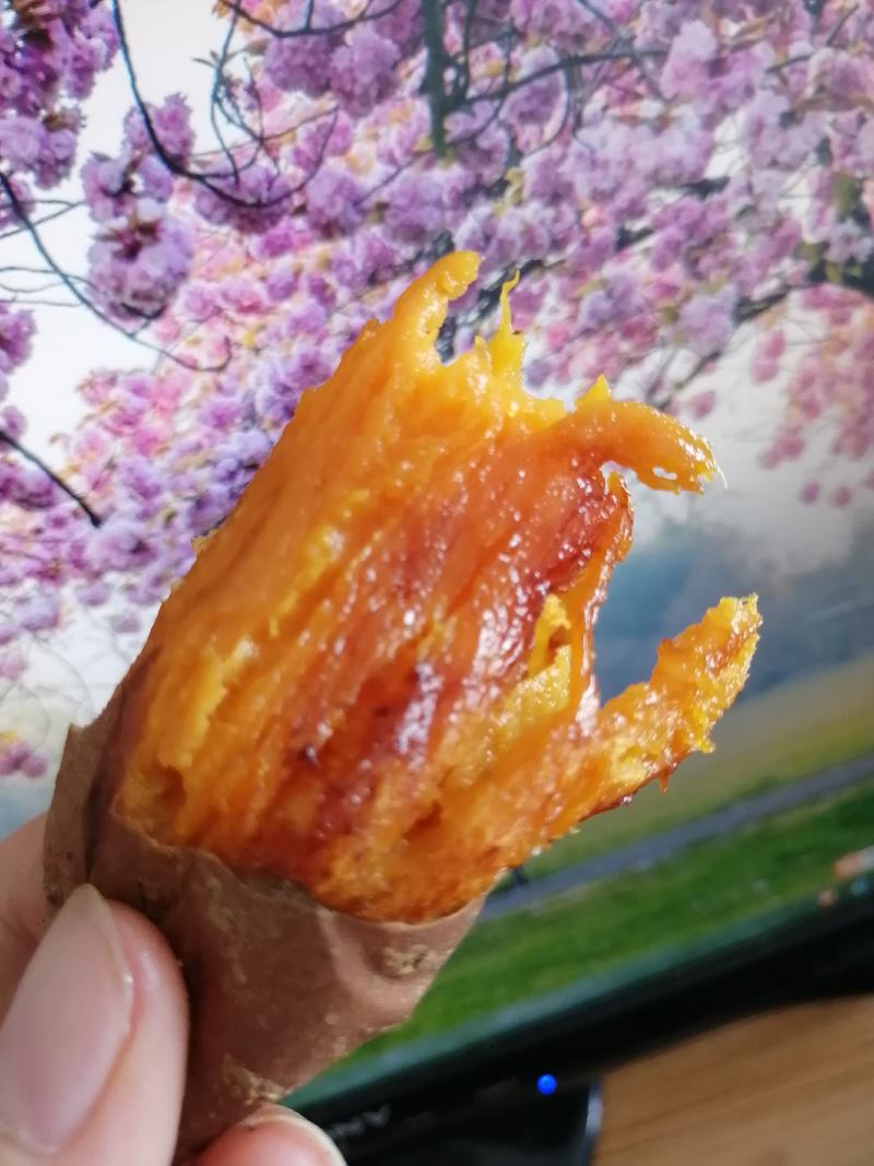 山东烟薯25蜜汁红薯低价供货支持一件代发支持落地配