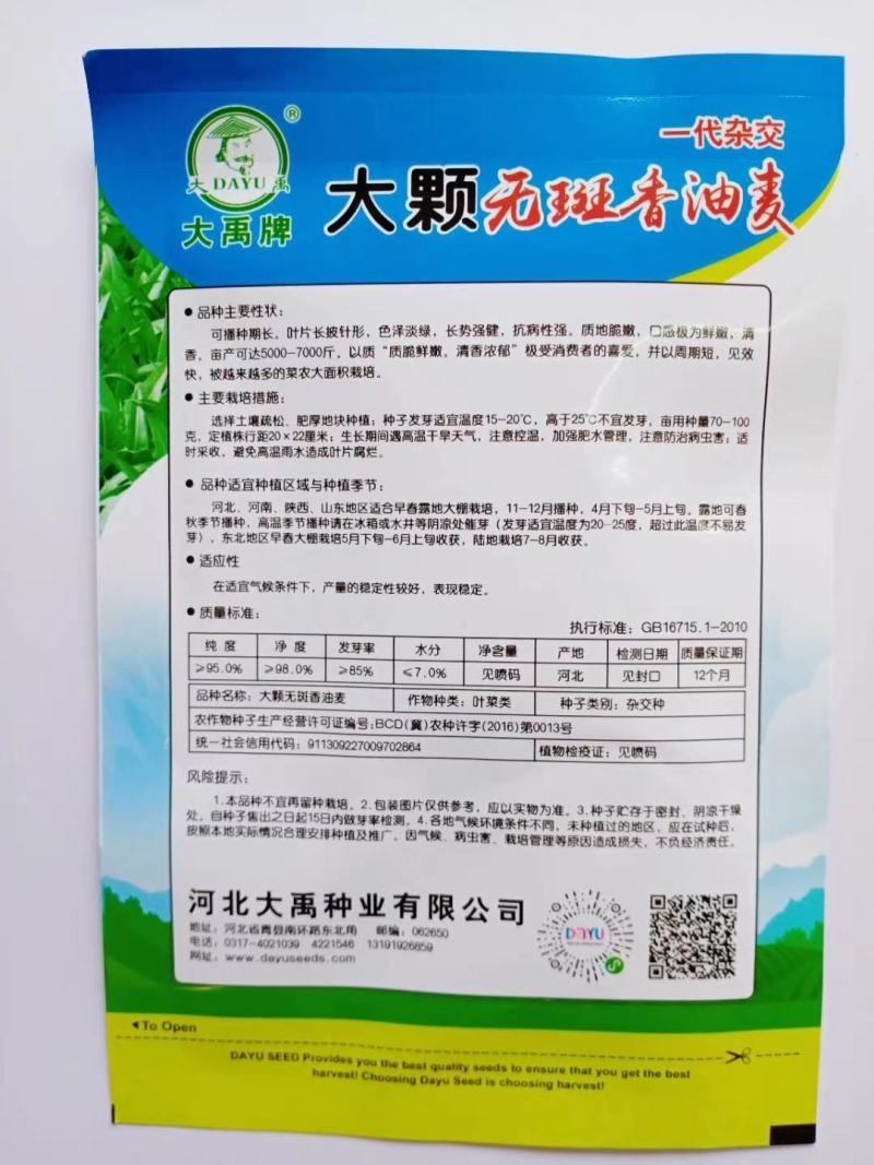 大颗无斑香油麦菜种子叶片长披针形色泽淡绿质脆鲜嫩清香浓郁