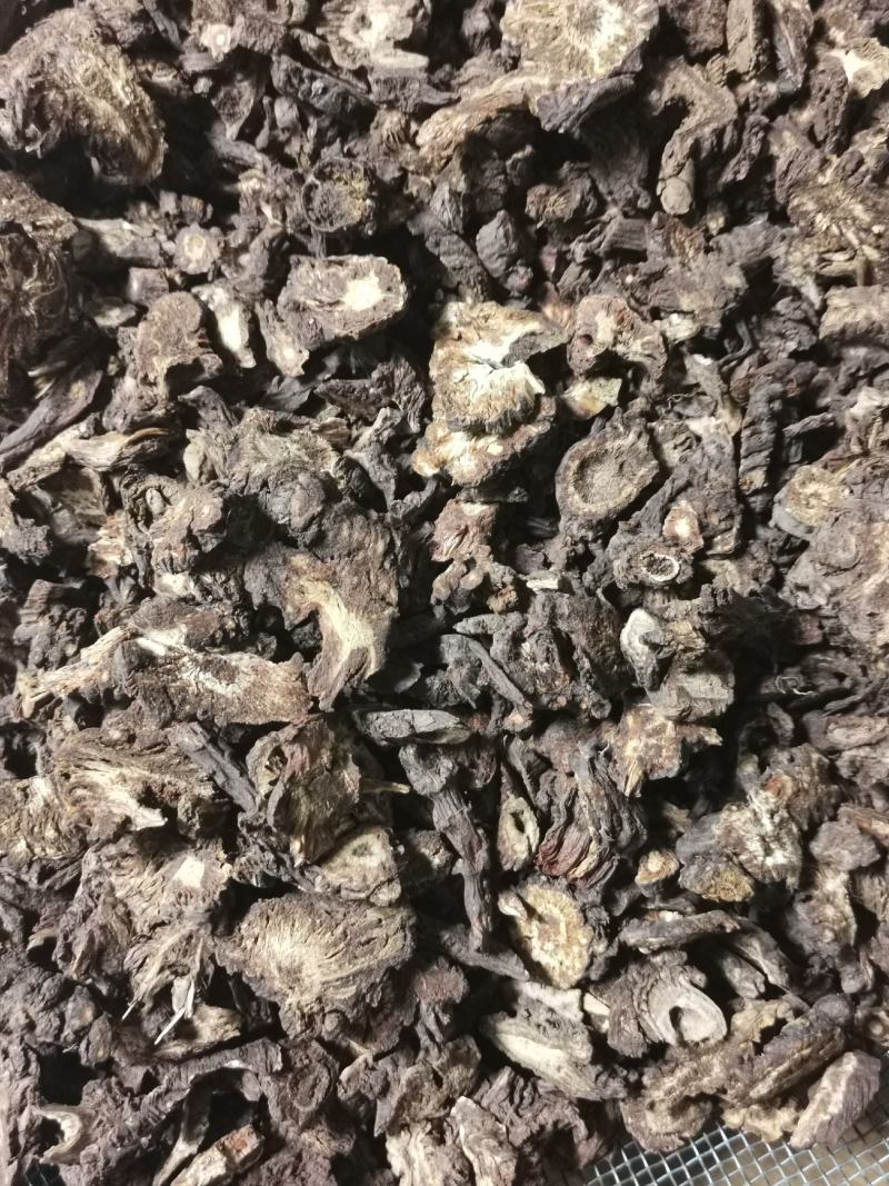 野生正品羌活四川公斤起批无硫无添加不包邮