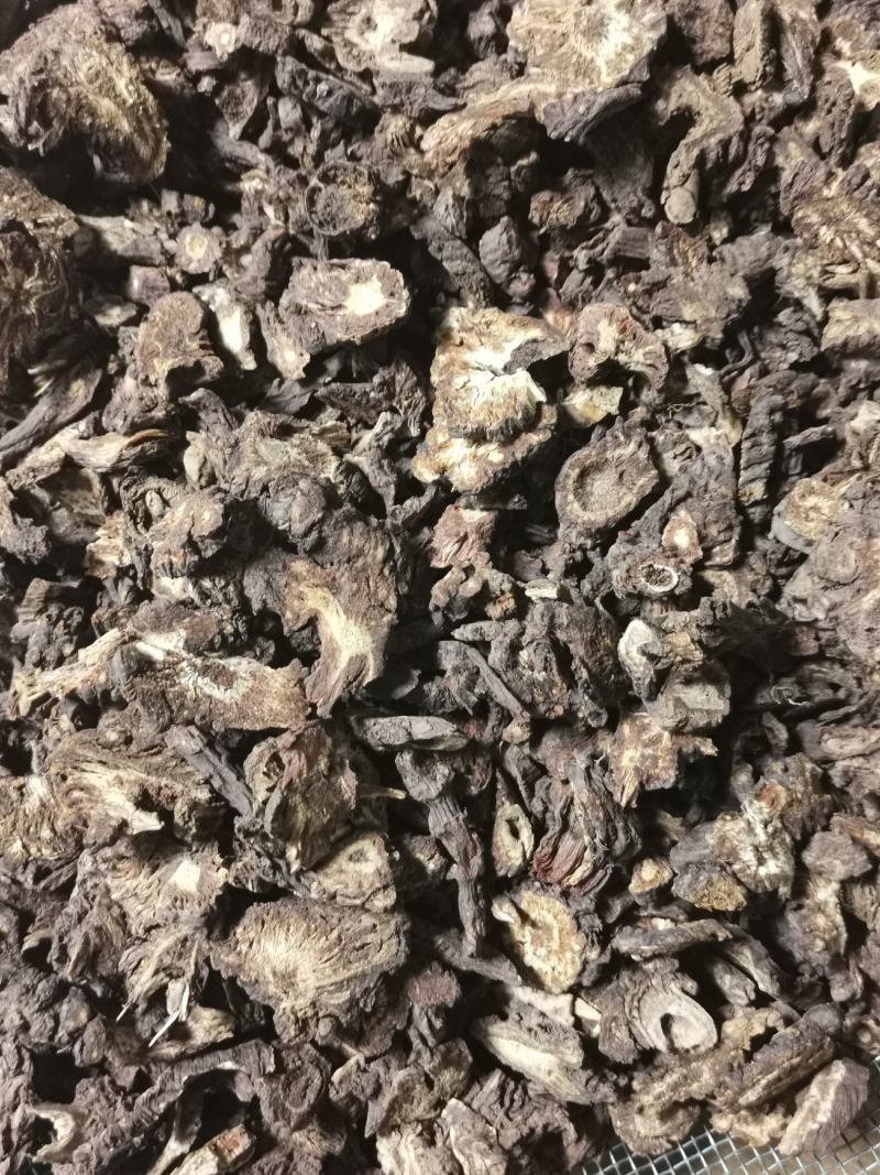 野生正品羌活四川公斤起批无硫无添加不包邮