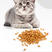 10斤猫粮通用型猫食批发幼猫成猫粮食深海鱼味流浪猫