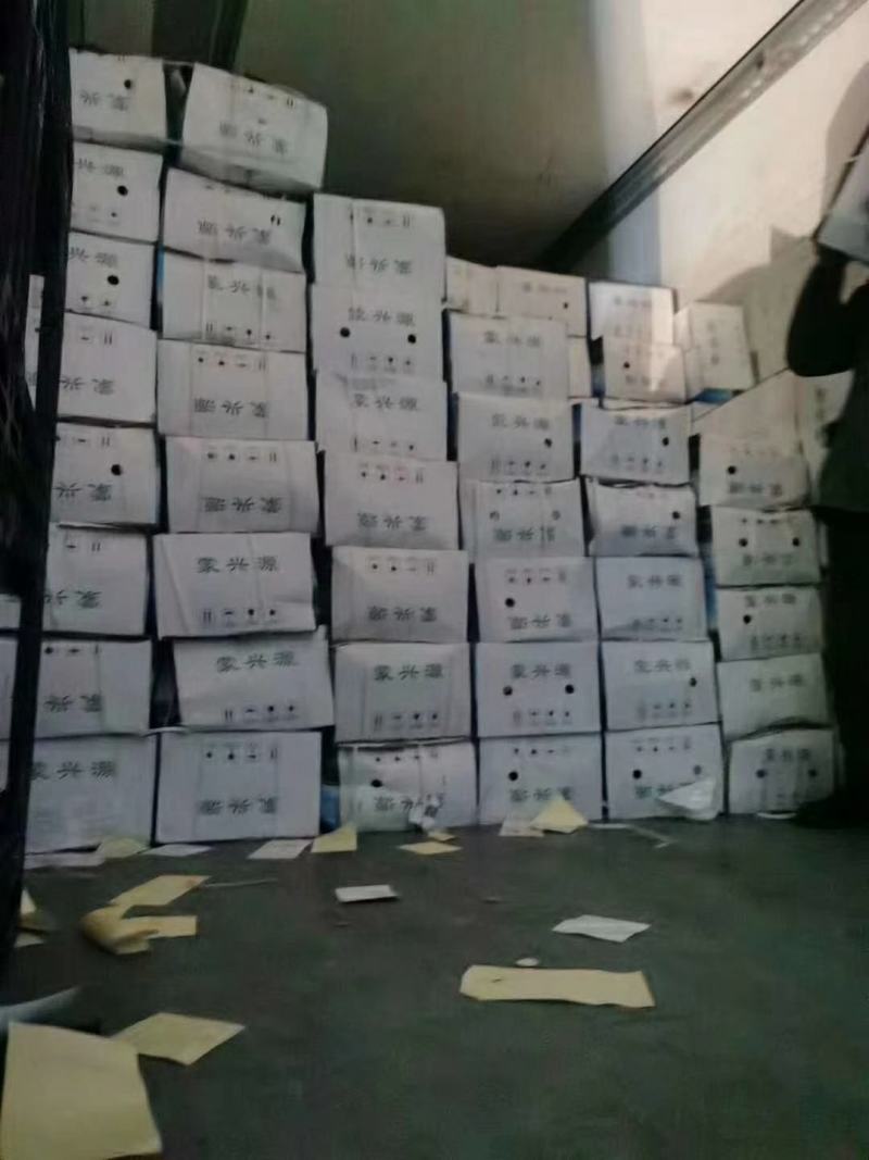 蒙古国进口水煮熟羊肉