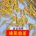 锦鲤鱼苗三色锦鲤鱼苗🌟全国各地支持发货(包邮)