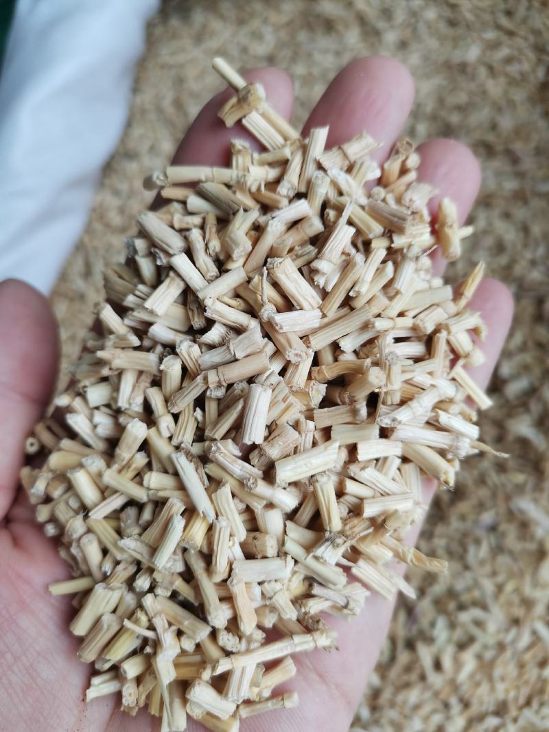 白茅根野生无硫干品白毛根甜草根坚草根一公斤起发货