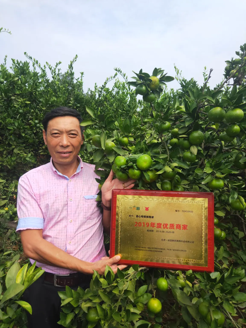 蜜桔柑橘对接市场批发商超，外贸出口，电商平台，不零售