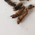蝼蛄江苏干货选货2斤起包邮量大从优