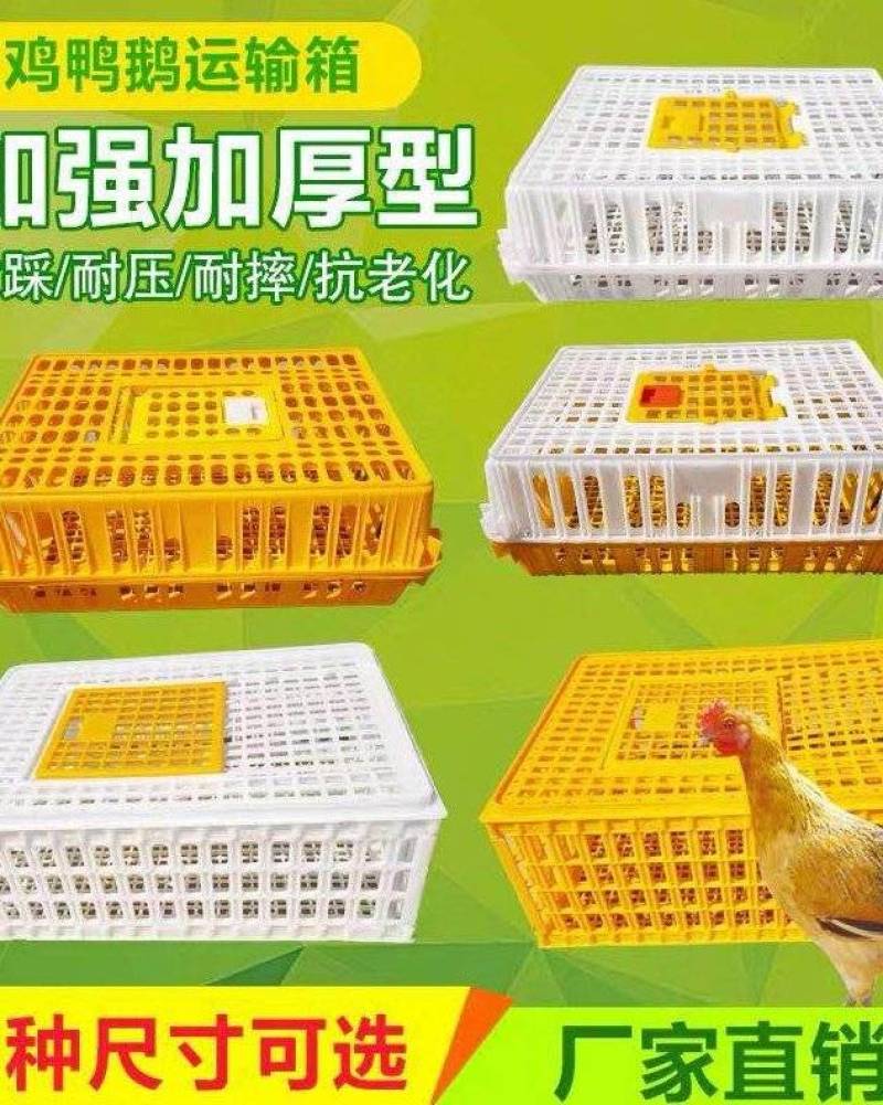 鸡鸭鹅兔禽类熟料运输转运笼周转箱