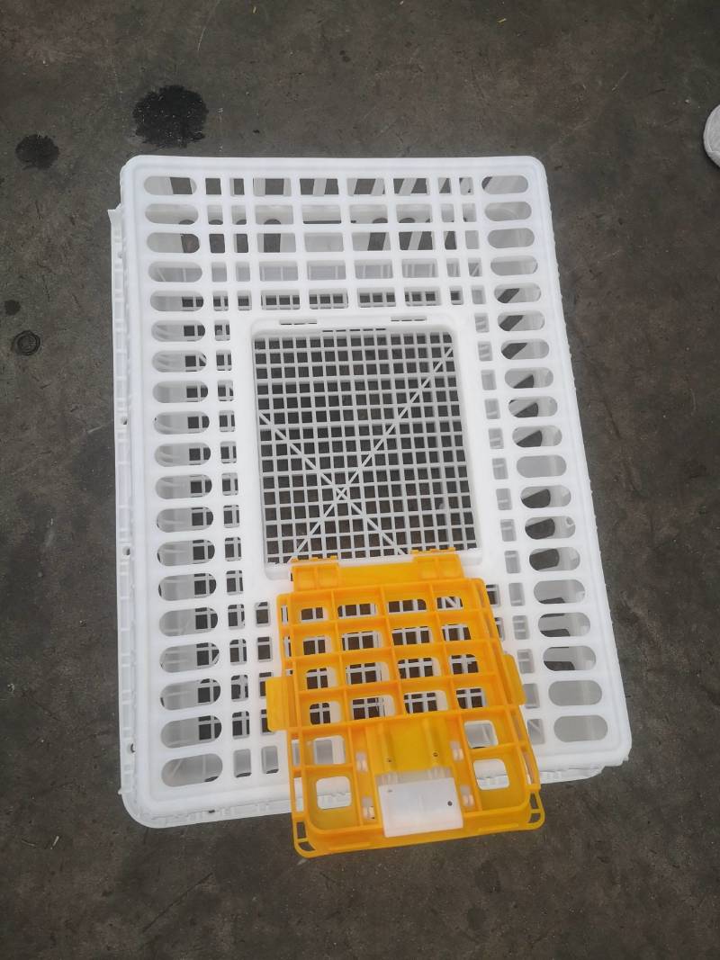 鸡鸭鹅兔禽类熟料运输转运笼周转箱