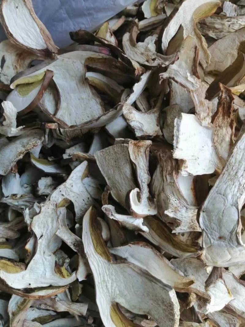 内蒙古呼伦贝尔产地美味牛肝菌新货支持零售批发