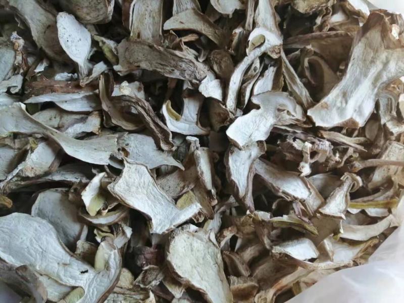 内蒙古呼伦贝尔产地美味牛肝菌新货支持零售批发