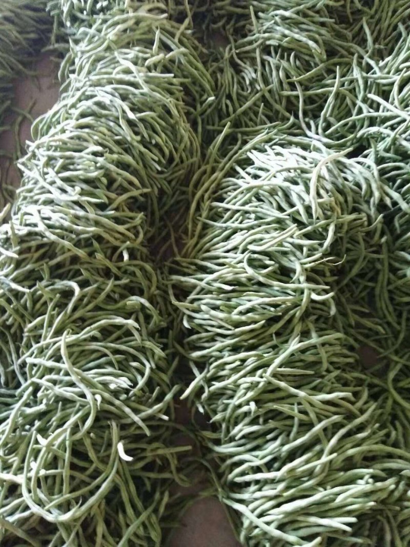 赤峰豆角（赤峰大型露天蔬菜基地）