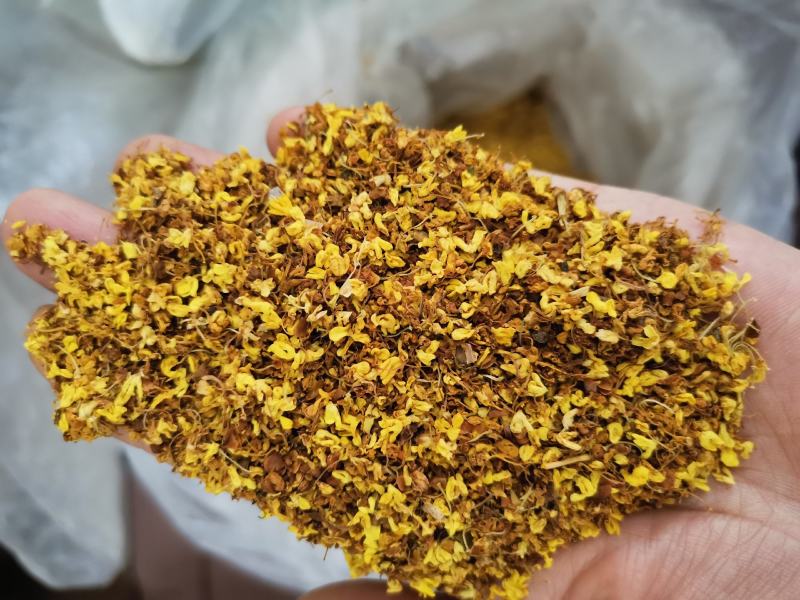 桂花正宗广西桂花干货浓香花草茶散装一袋起包邮