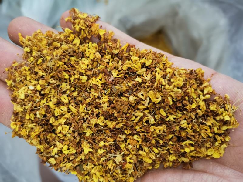 桂花正宗广西桂花干货浓香花草茶散装一袋起包邮