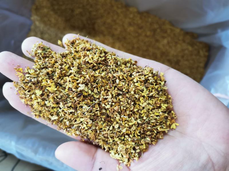 桂花正宗广西桂花干货浓香花草茶散装一袋起包邮