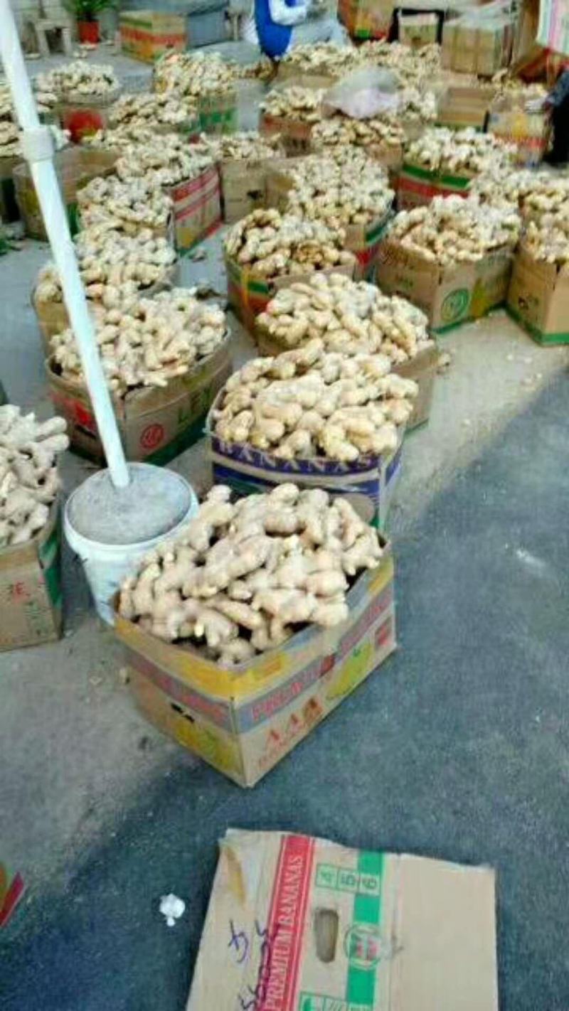 【荐】生姜产地山东生姜批发各种规格品种全量大价低