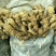 【荐】生姜产地山东生姜批发各种规格品种全量大价低