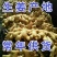 【荐】生姜产地山东生姜批发各种规格品种全量大价低