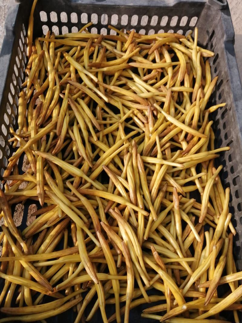 大荔农家自制传统锅蒸无硫干黄花菜