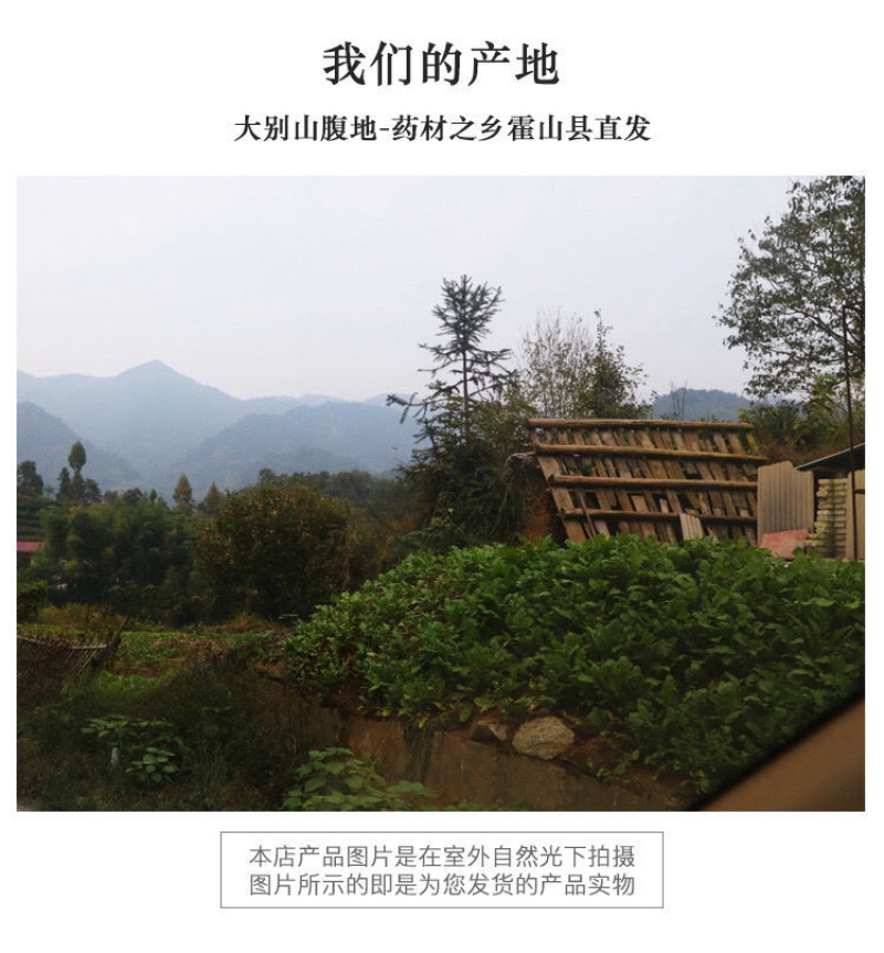 粉葛根葛根正品无硫中药材粉葛根葛根粉葛根