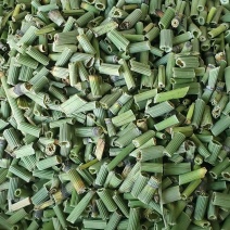 【精品】河北木贼新货上市无硫品质保证量大优惠欢迎咨询
