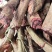 大山里的鸡血藤一级货源大量货源供应需要的老板联系我
