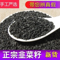 韭菜籽正品韭菜籽泡茶料中药材韭菜子泡酒料新货