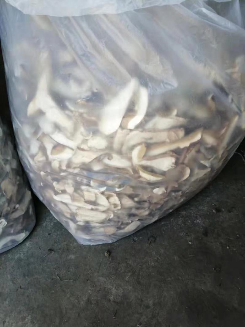 内蒙古呼伦贝尔产地美味牛肝菌新货支持零售批发