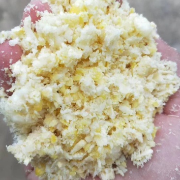 【有好货呦】熟玉米，厂家直销，品质上乘，量大优惠！