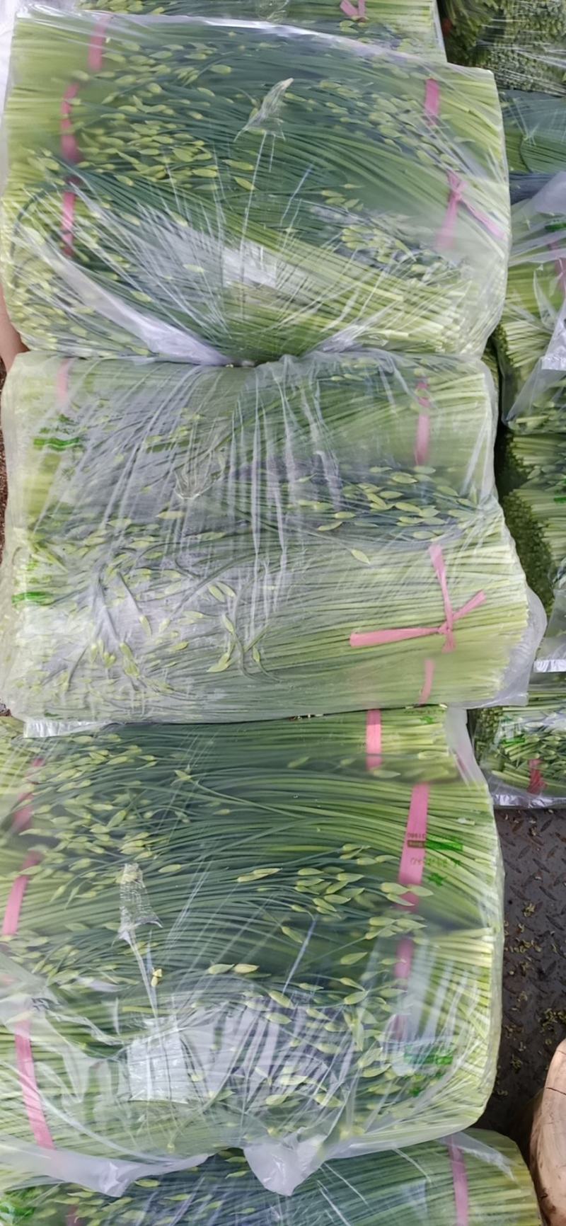 韮苔有需要的新老朋友，欢迎前来选购