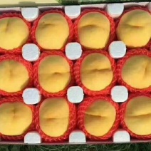 黄金秀黄毛桃