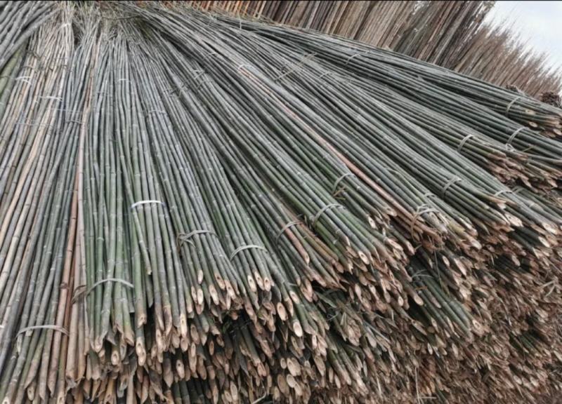 成都厂家批发竹竿，量大从优新竹上市中，菜架，大棚架
