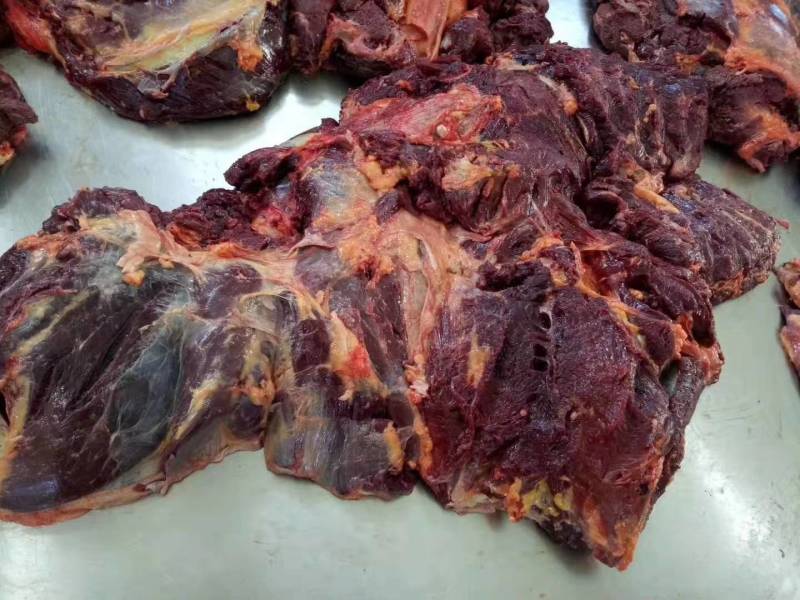 冻品马肉，蒙古正关马肉超码四分体精修去油