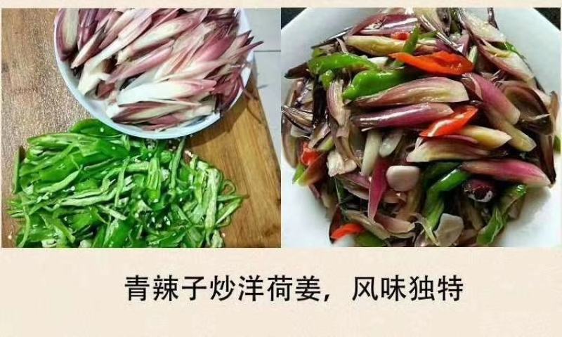 陕南大山洋荷《坏果包赔》
