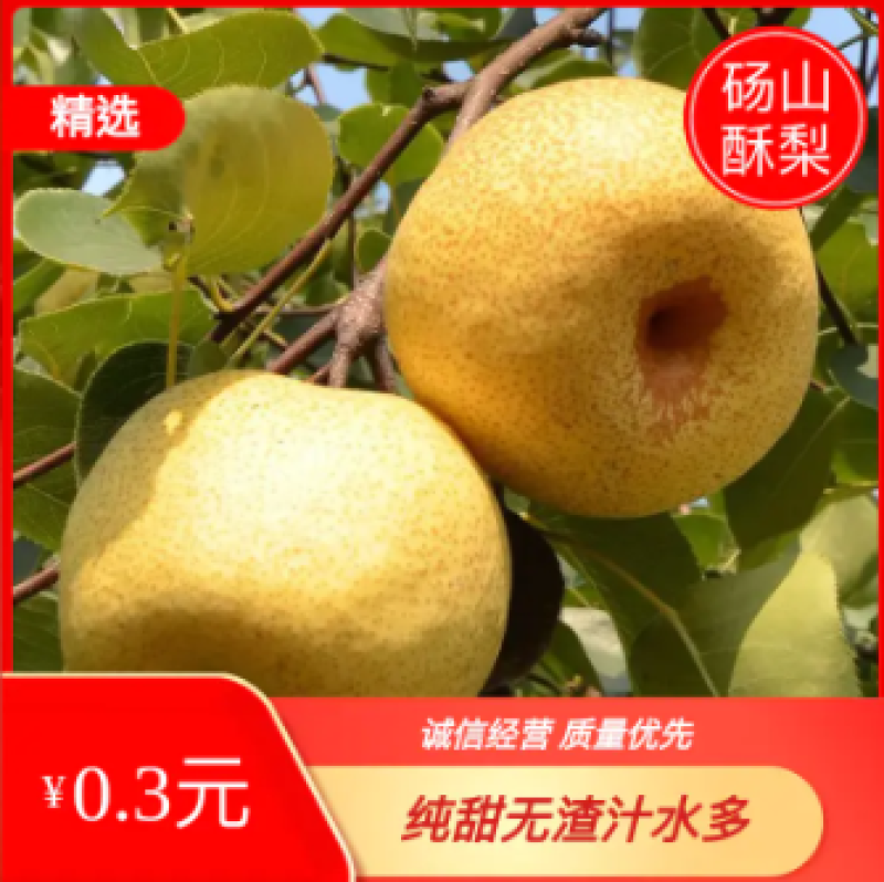 精品安徽砀山酥梨皮薄汁多纯甜解渴质量保证批发商超