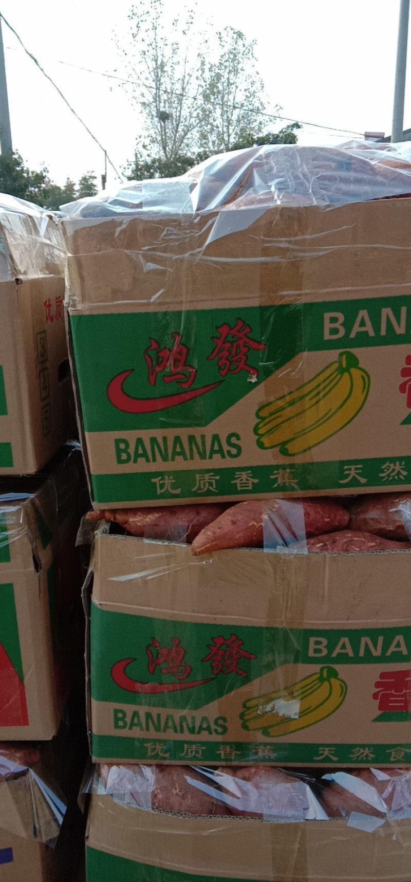湖北襄阳宜城西瓜红口感好甜面支持各种规格和包装常年供应。