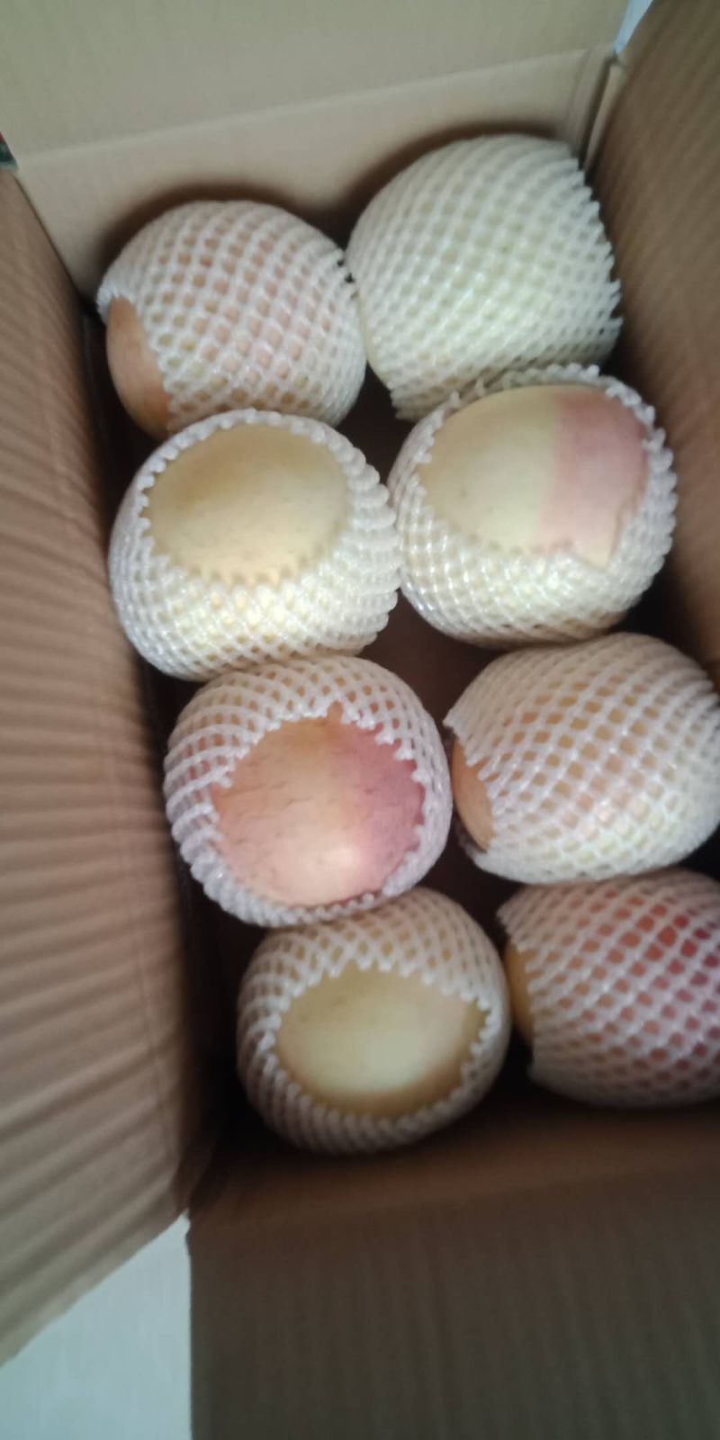 大沙河早熟苹果，口感甜脆，色泽鲜艳，耐运输
