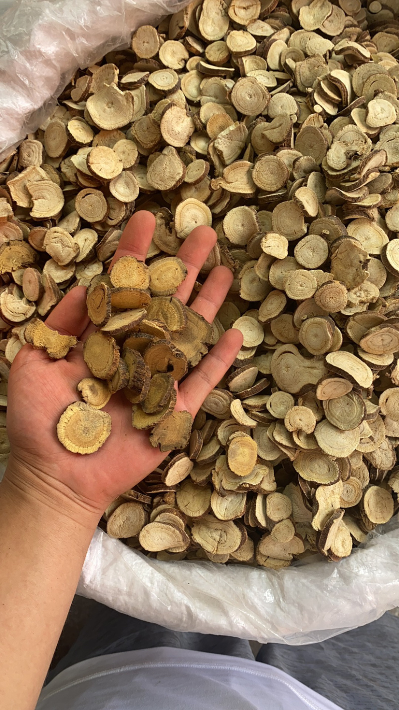 苦参东北内蒙货各种中药材批发产地直销量大从优