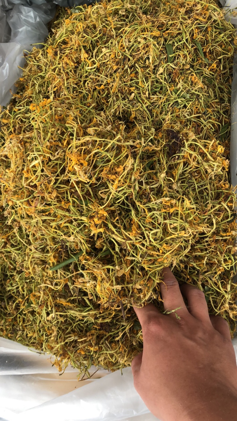 金银花野生货今年新货足干味道香质量好