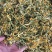 金银花野生货今年新货足干味道香质量好