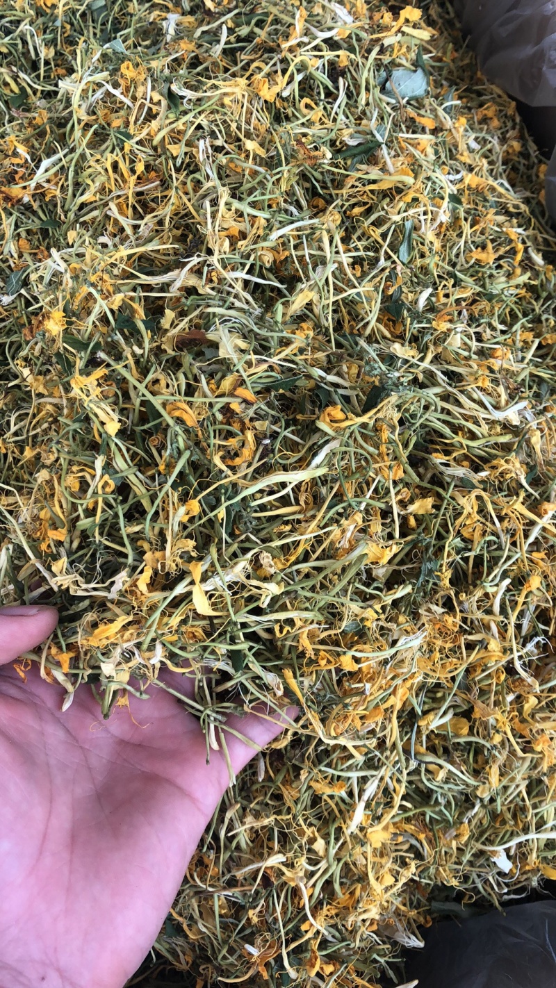 金银花野生货今年新货足干味道香质量好