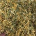 金银花野生货今年新货足干味道香质量好