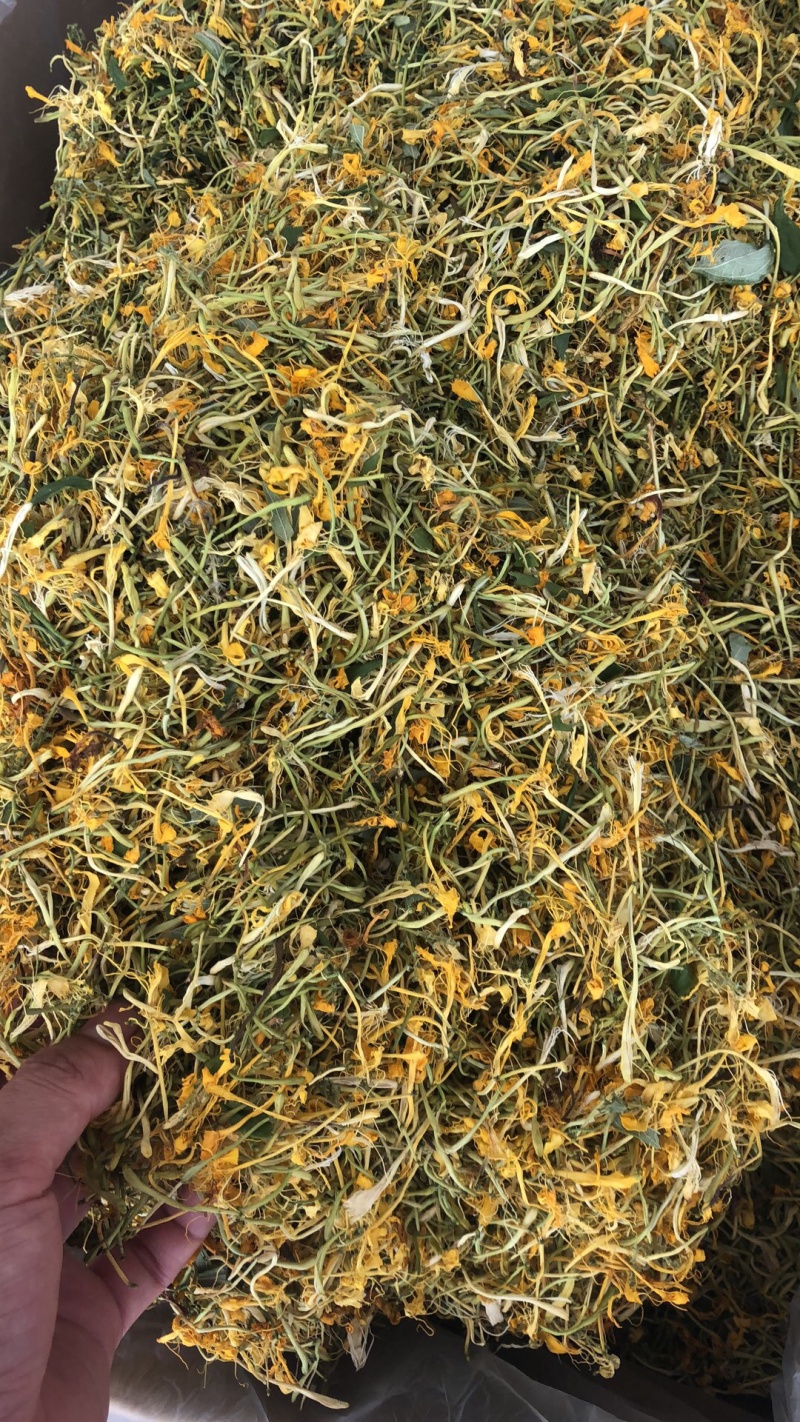 金银花野生货今年新货足干味道香质量好